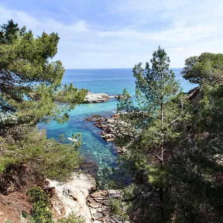 Holiday Treumal D'alt